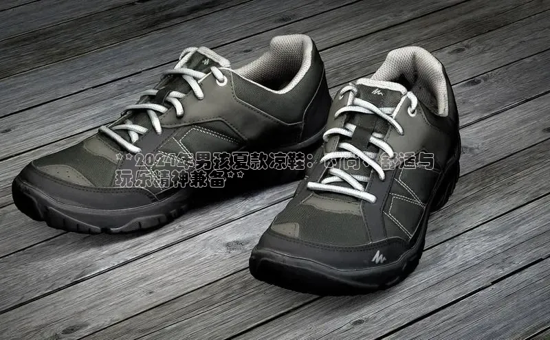 意昂2百度翻译App**2024年男孩夏款凉鞋：时尚、舒适与
玩乐精神兼备**