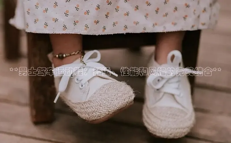 意昂2账号登录入口彩讯股份**男士驾车运动鞋：舒适、性能和风格的完美结合**